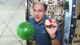 Donald ‘Don’ Pettit + Angry Birds & Pigs Go Weightless + Cartoon CGI SPACE Toilet = FLAT EARTH
