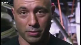 Joe Rogan “I Would Lie To My Own Mother”
