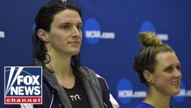 DeSantis torches NCAA after Lia Thomas defeats female swimmers