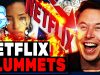 Netflix Collapse! Stock Plummets Nearly 40% After Massive Subscriber Loss & Elon Musk Revels In Fall