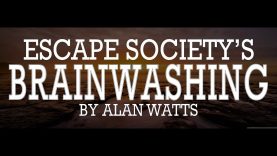 Alan Watts ~ Are You Tired Of Playing The Social Game?