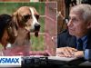 Dog company EXPOSES Dr. Fauci’s cruel puppy experiments