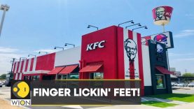 WION Fineprint: Inflation pushes KFC to put chicken feet on menu in China | Latest English News