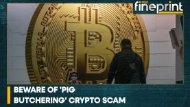 WION Fineprint | Decoding the crypto scam that is costing investors millions