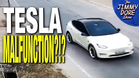 Runaway Tesla Kills Two People In Out Of Control Crash
