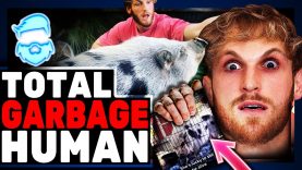 Logan Paul DESTROYED After Pet Pig Found On The Side Of The Road In Desperate Need Of Help