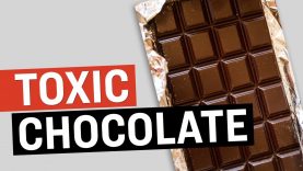 Beware of Toxic Chocolate: Heavy Metals Found in Major Brand Names