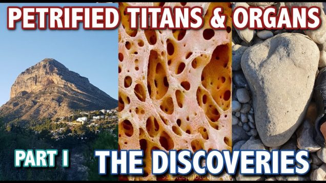 BIOGEOLOGY 3 – Fragments of Titans