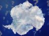 Is Antartica the key to Flat Earth?