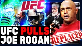 Joe Rogan Just Got REMOVED From As UFC Commentator By Disney & ESPN! Jake Paul & Jon Stewart Defend