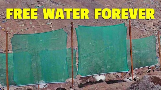 Desert Fog Nets Catch 10,000 Liters Of Water Daily