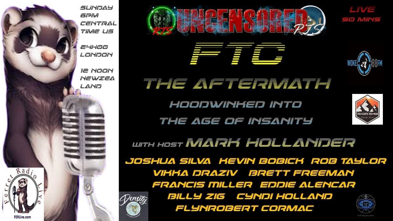 Hoodwinked Flatten The Curve Aftershow with Vikka Draziv, Joshua Silver, Rob Taylor