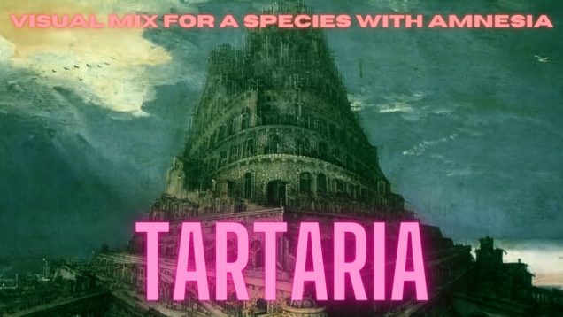 Tartaria – A Visual Mix for a Species with Amnesia
