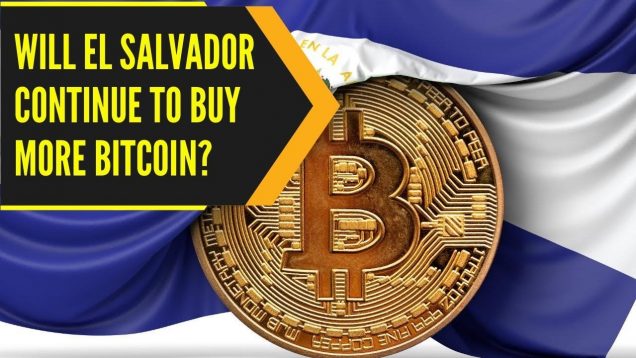 Is Bitcoin crash going to impact El Salvador’s economy? | WION Originals