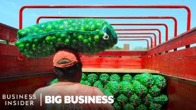 Mexico Harvests 900,000 Tons Of Limes