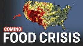 How Globalist Policies and Drought Are Leading to Food Shortages in 2023