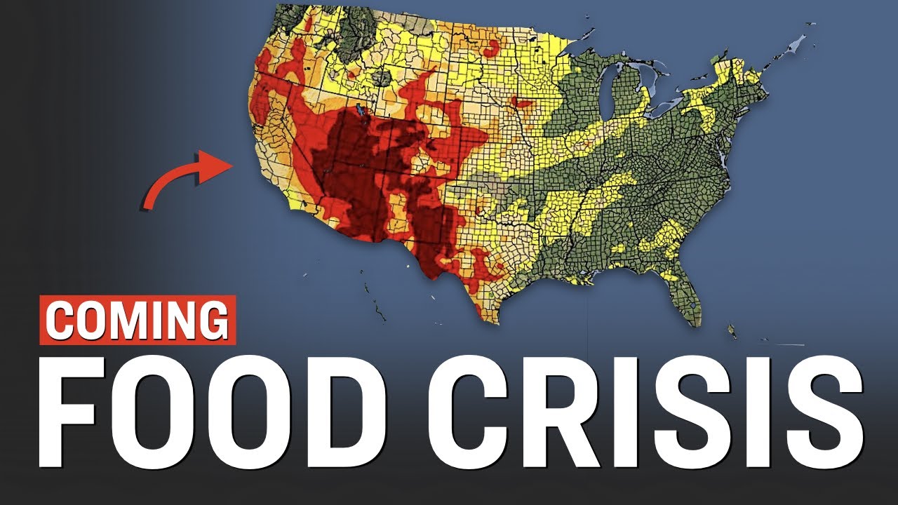 How Globalist Policies and Drought Are Leading to Food Shortages in 2023