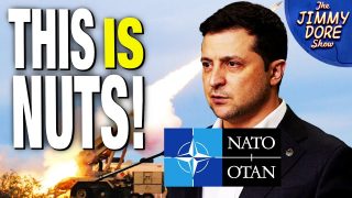 Ukraine Requests Fast-Tracked NATO Membership